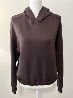 NWT Offline by Aerie Brown Cropped Hoodie Sweatshirt. Relaxed Fit. Size Medium